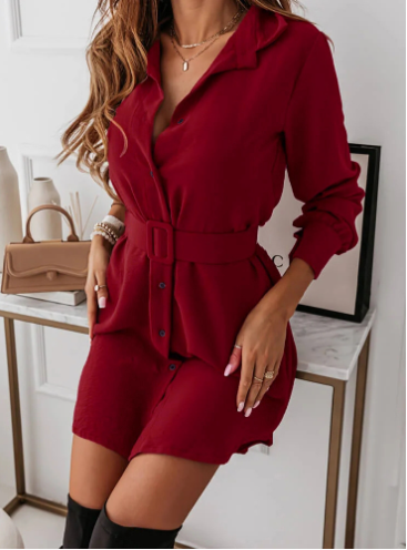 Lapel Long-sleeved Dress With Belt Fashion Elegant Button-down Shirt Dresses For Women